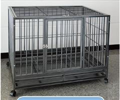 Square Tube Hundebox